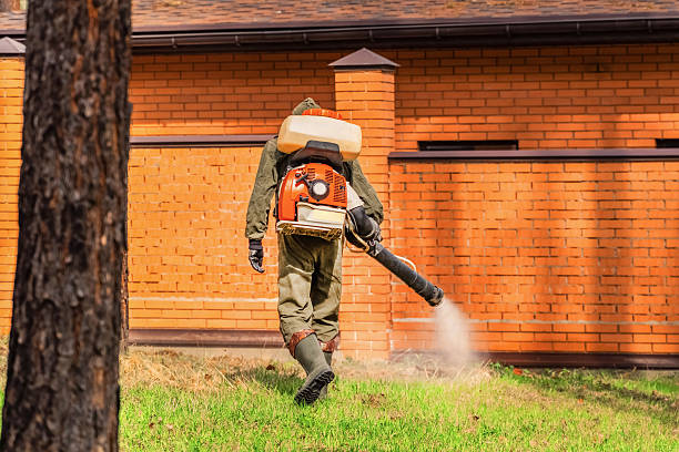 Bed Bug Clearance Verification and Documentation in South Miami Heights